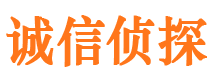 港北市侦探公司